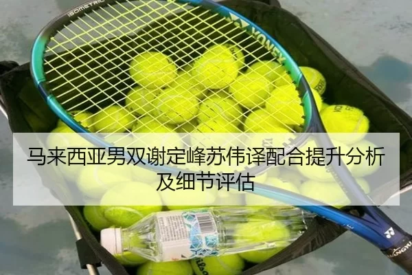 马来西亚男双谢定峰苏伟译配合提升分析及细节评估